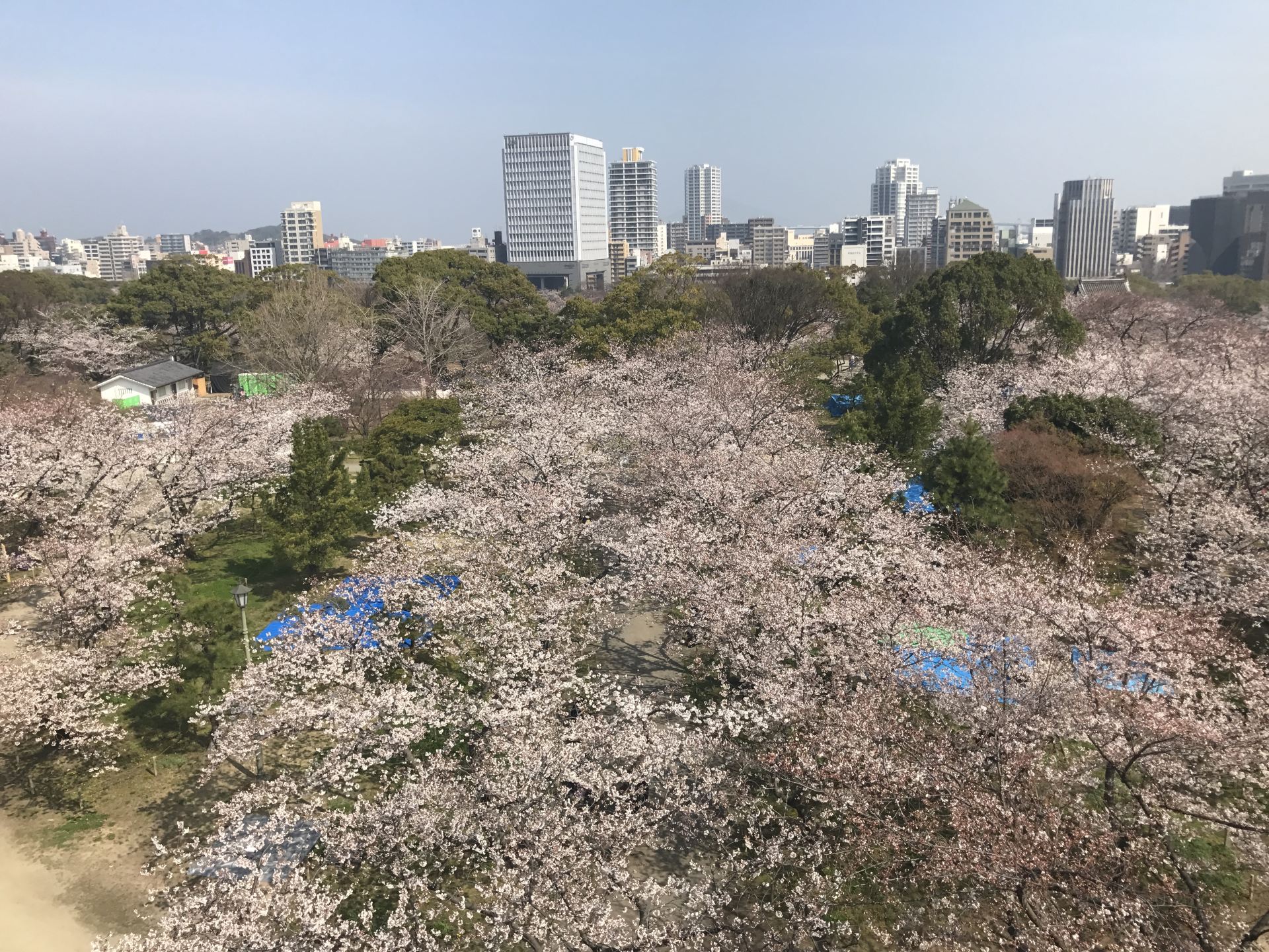 2018舞鹤公园_旅游攻略_门票_地址_游记点评,福冈旅游景点推荐 - 去