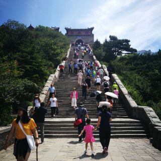 100o0u000000itp5fD955_R_320_320.jpg