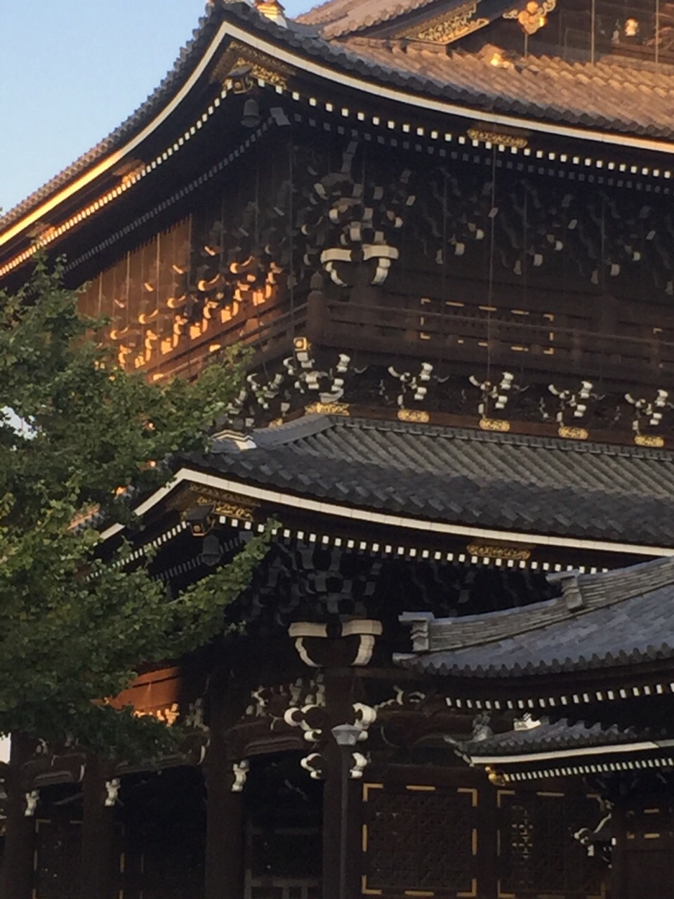 2023本能寺游玩攻略,地理位置优越，但是人不是很...【去哪儿攻略】