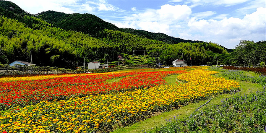 1-Day Qianshan Tour: Cultural heritage of Sanzu Temple, natural beauty of Tianxianxia