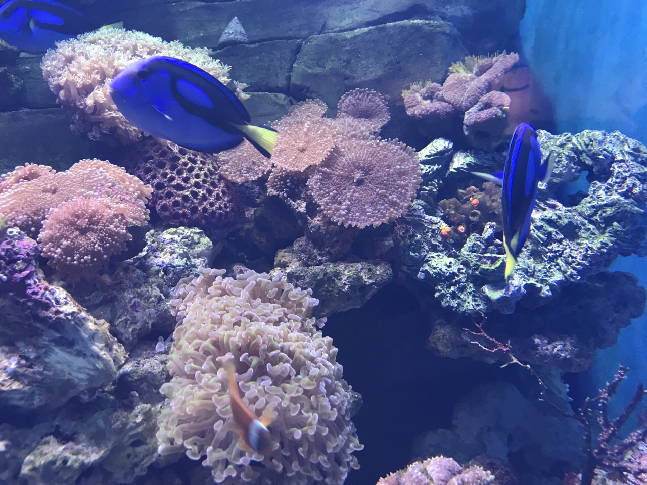 昆明花都海洋世界
