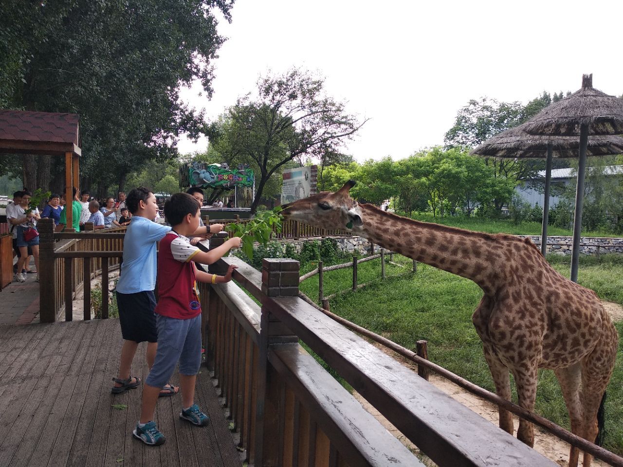 北京野生动物园旅游景点攻略图