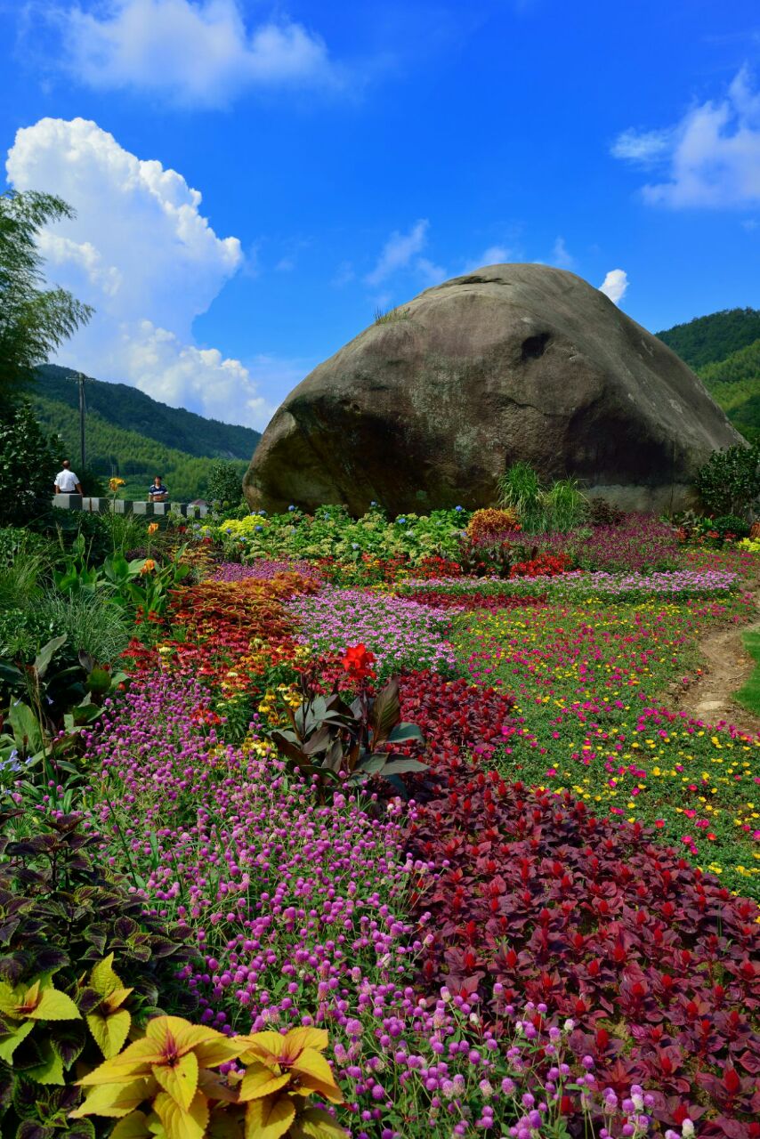 天仙风景区图片