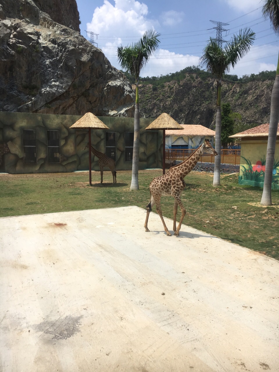 永鸿野生动物世界