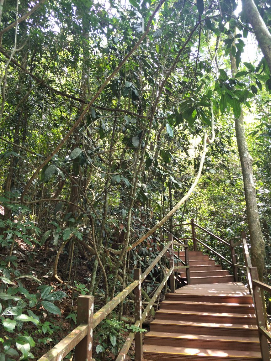 2018中科院西雙版納熱帶植物園_旅遊攻略_門票_地址_遊記點評