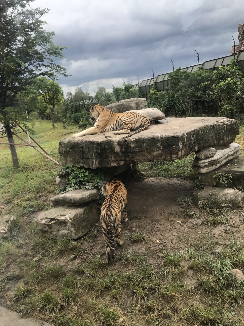 上海野生動物園