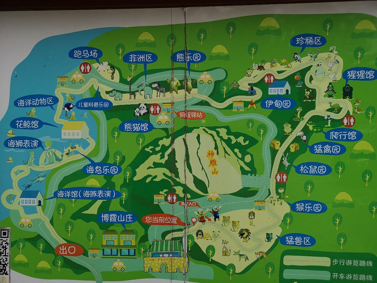 神雕山野生动物自然保护区