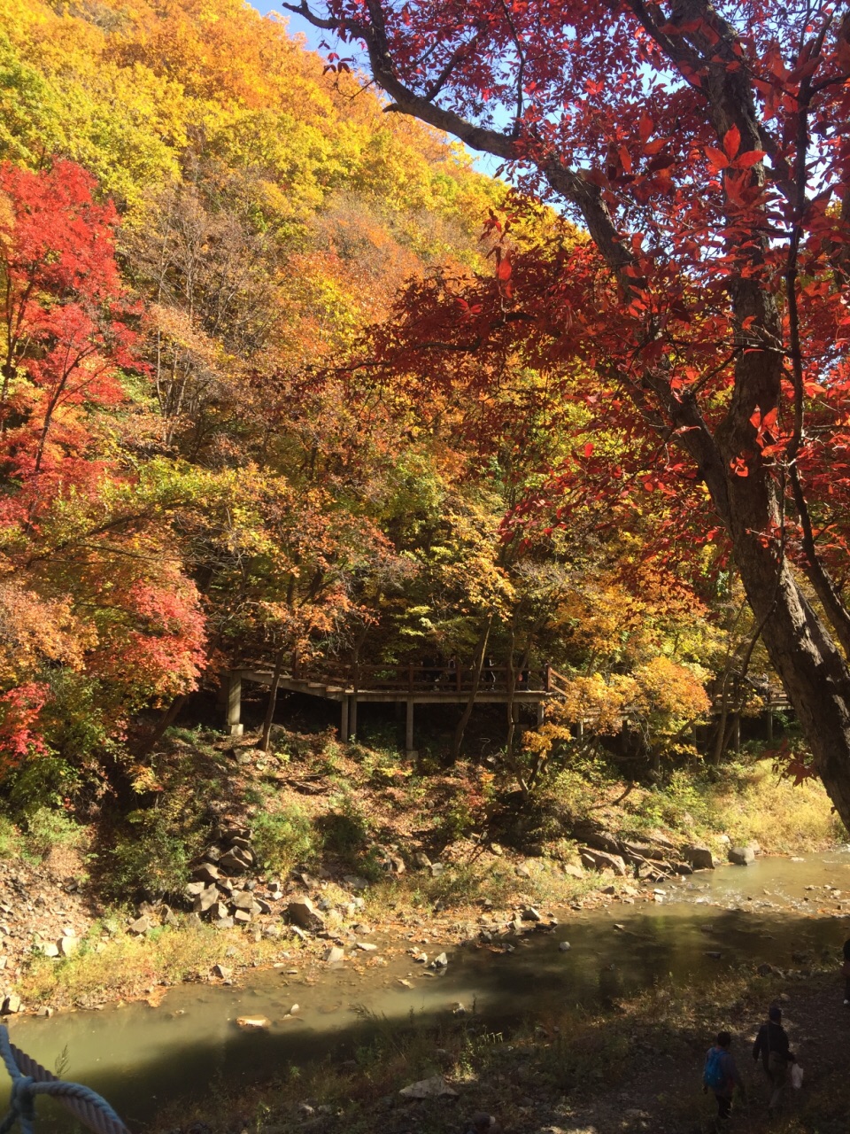 筐子沟生态风景区