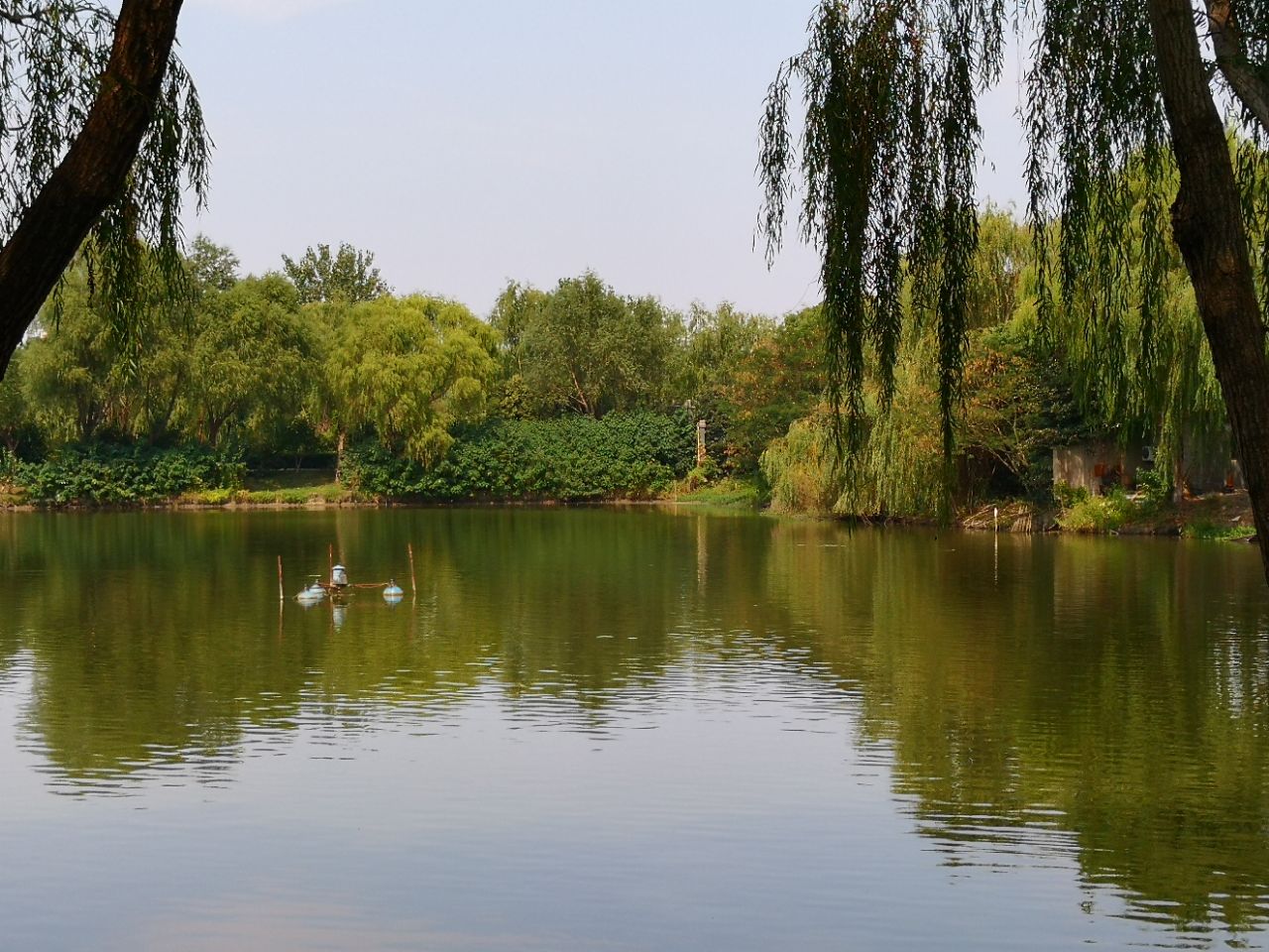 鹽城大縱湖好玩嗎,鹽城大縱湖景點怎麼樣_點評_評價【攜程攻略】