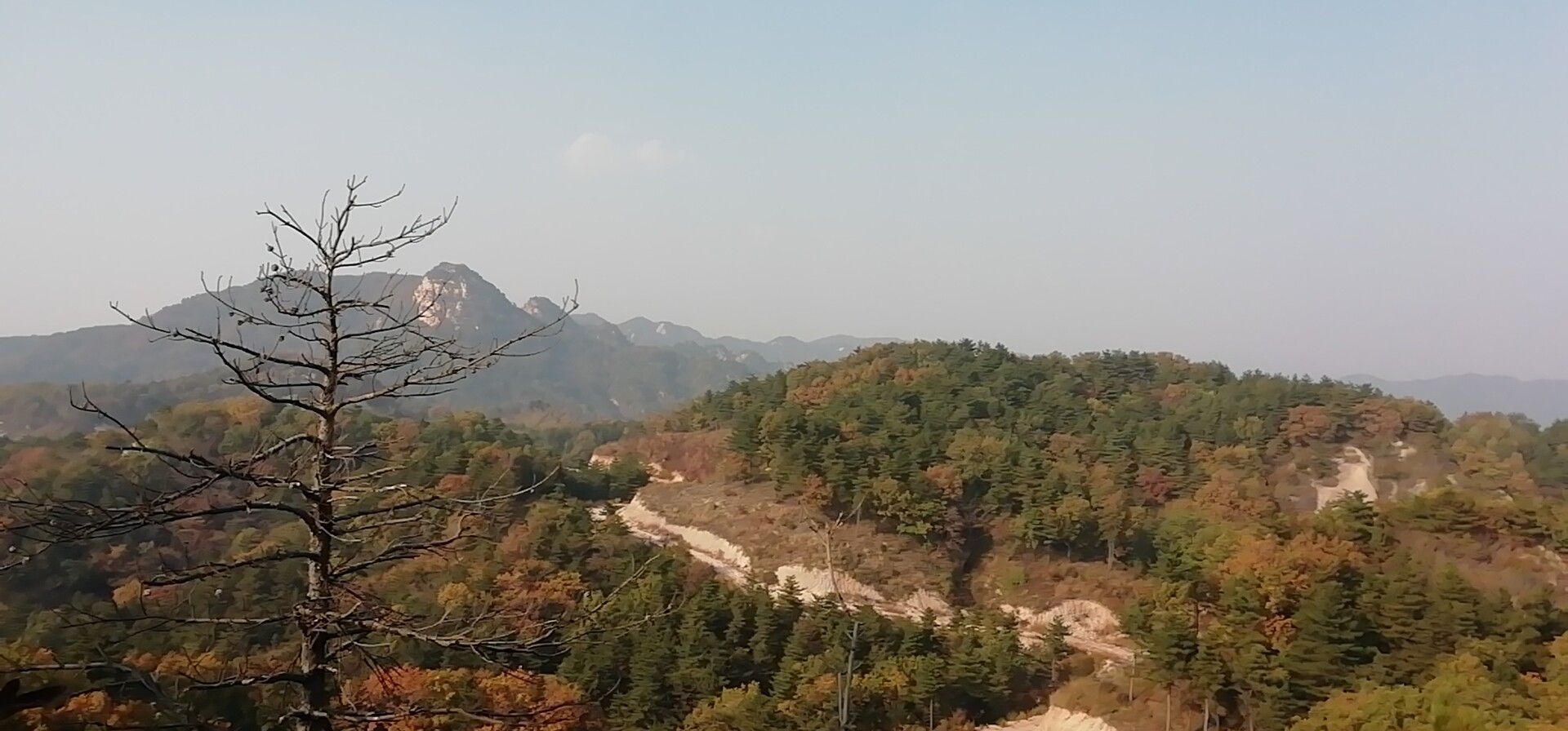 【携程攻略】北京九龙山景点,九龙山是国家级森林公园。 公园内植被茂密，树木参天。上山大多是石…