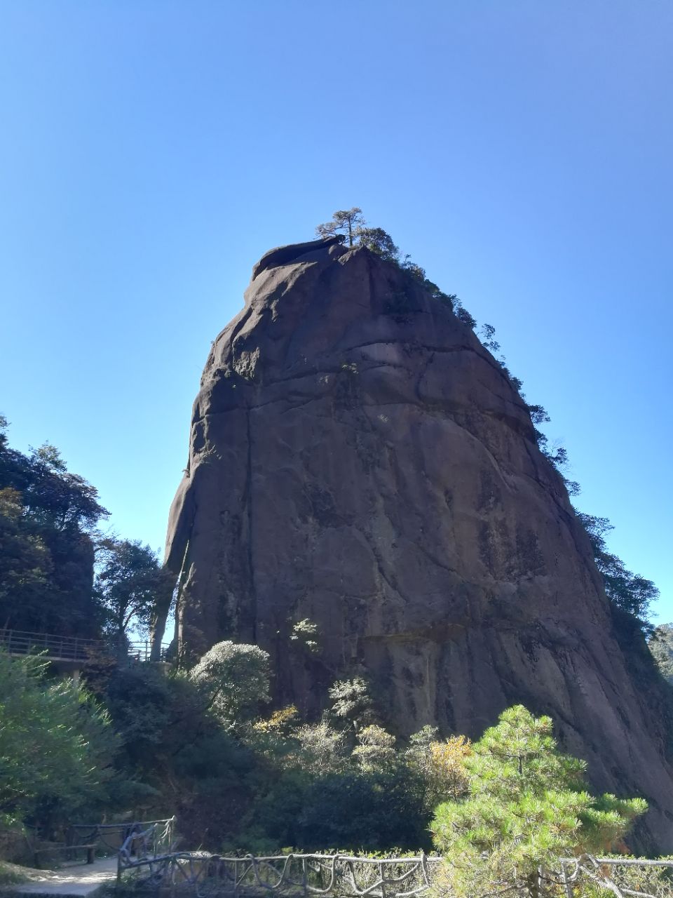三清山神龙戏松攻略,三清山神龙戏松门票/游玩攻略/地址/图片/门票