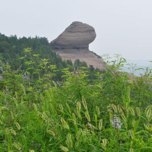 磬錘峰國家森林公園