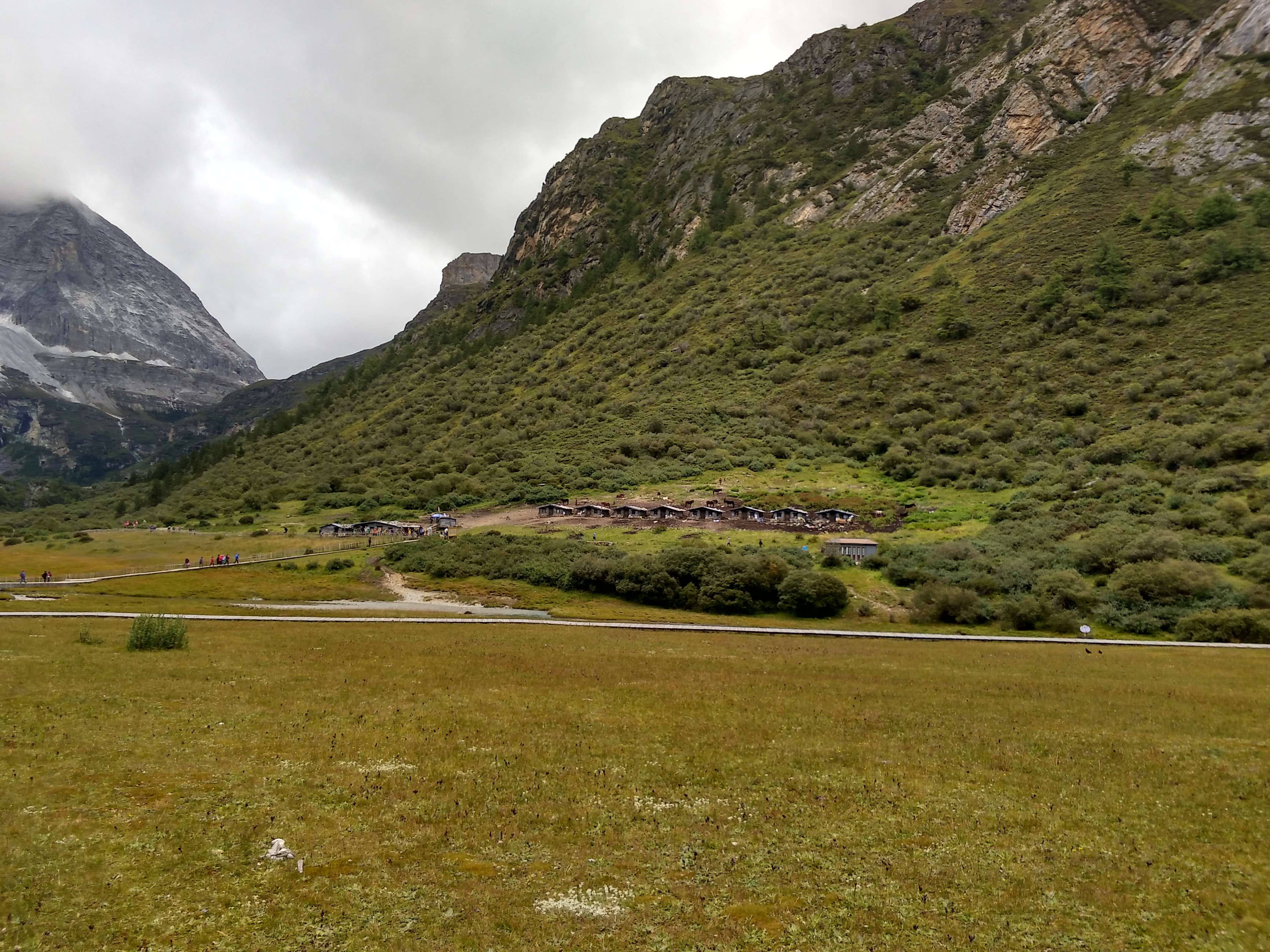 冲古草坪意为湖泊源头上的草甸,素有天然盆景之称