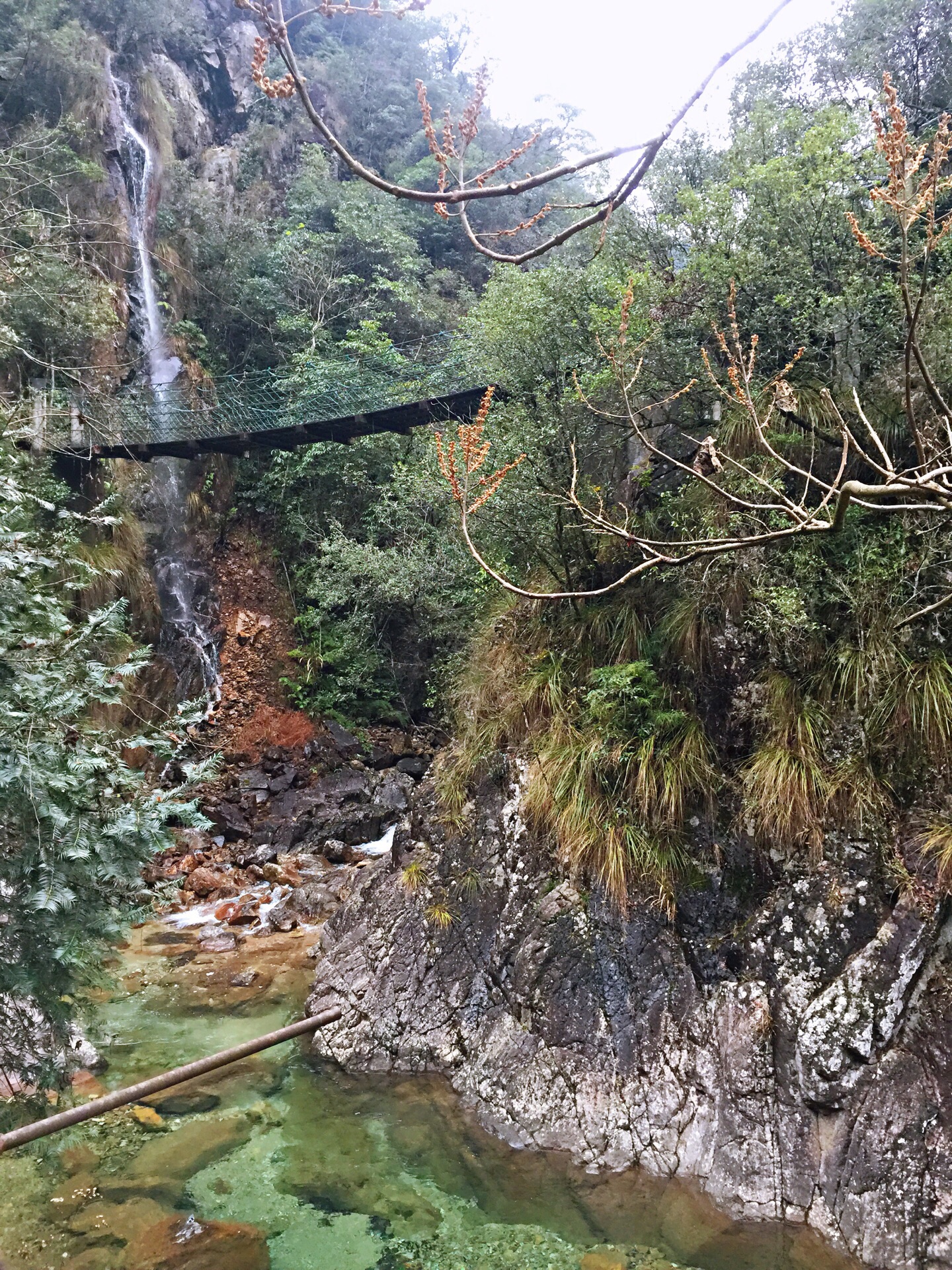 2019牛头山国家森林公园_旅游攻略_门票_地址_游记点评,武义旅游景点推荐 - 去哪儿攻略社区