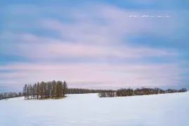 2-Day Yakeshi Tour: Phoenix Mountain Ski Resort's snowy charm, Pinus Sylvestris Forest's beauty