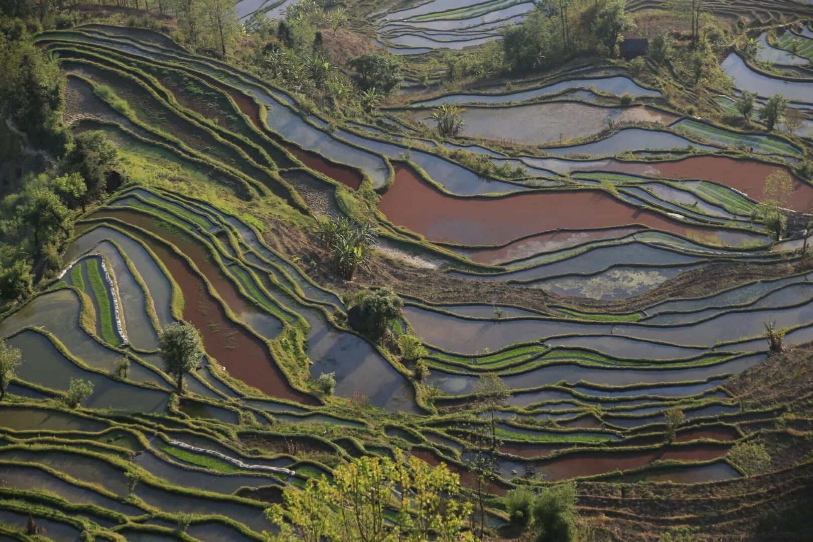 元阳哈尼梯田旅游景点攻略图