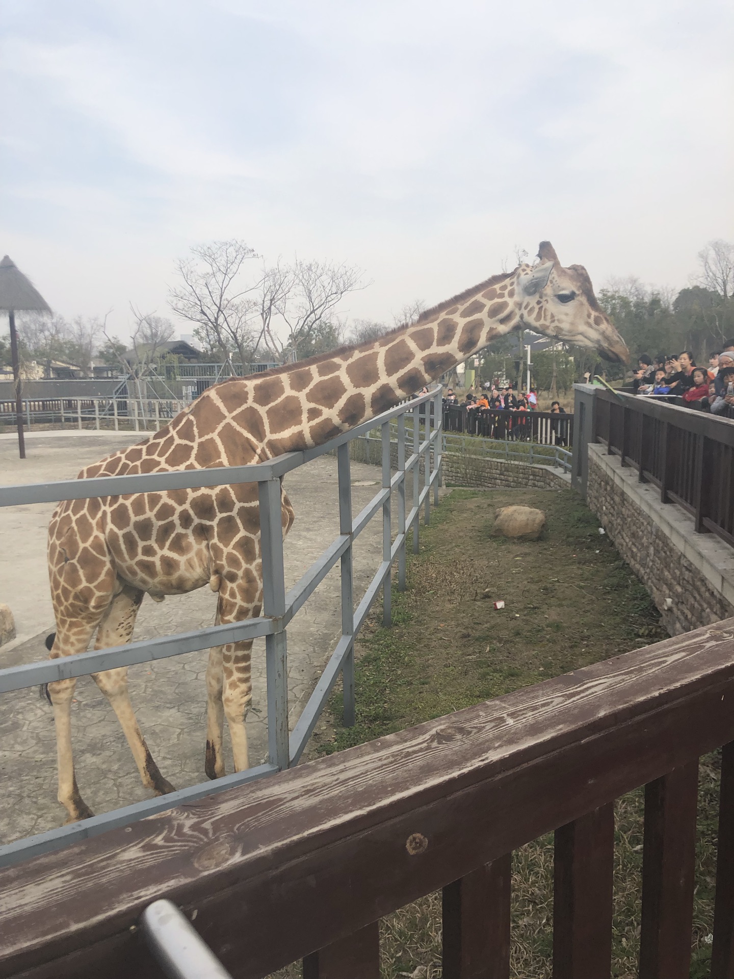 上方山森林动物世界