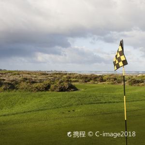 圆石滩高尔夫球场旅游景点图片