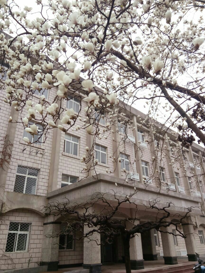 中国矿业大学文昌校区科学馆