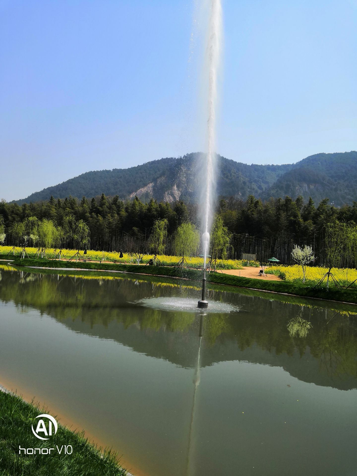 吉水墨潭桃花岛攻略,吉水墨潭桃花岛门票/游玩攻略/地址/图片/门票价格【携程攻略】