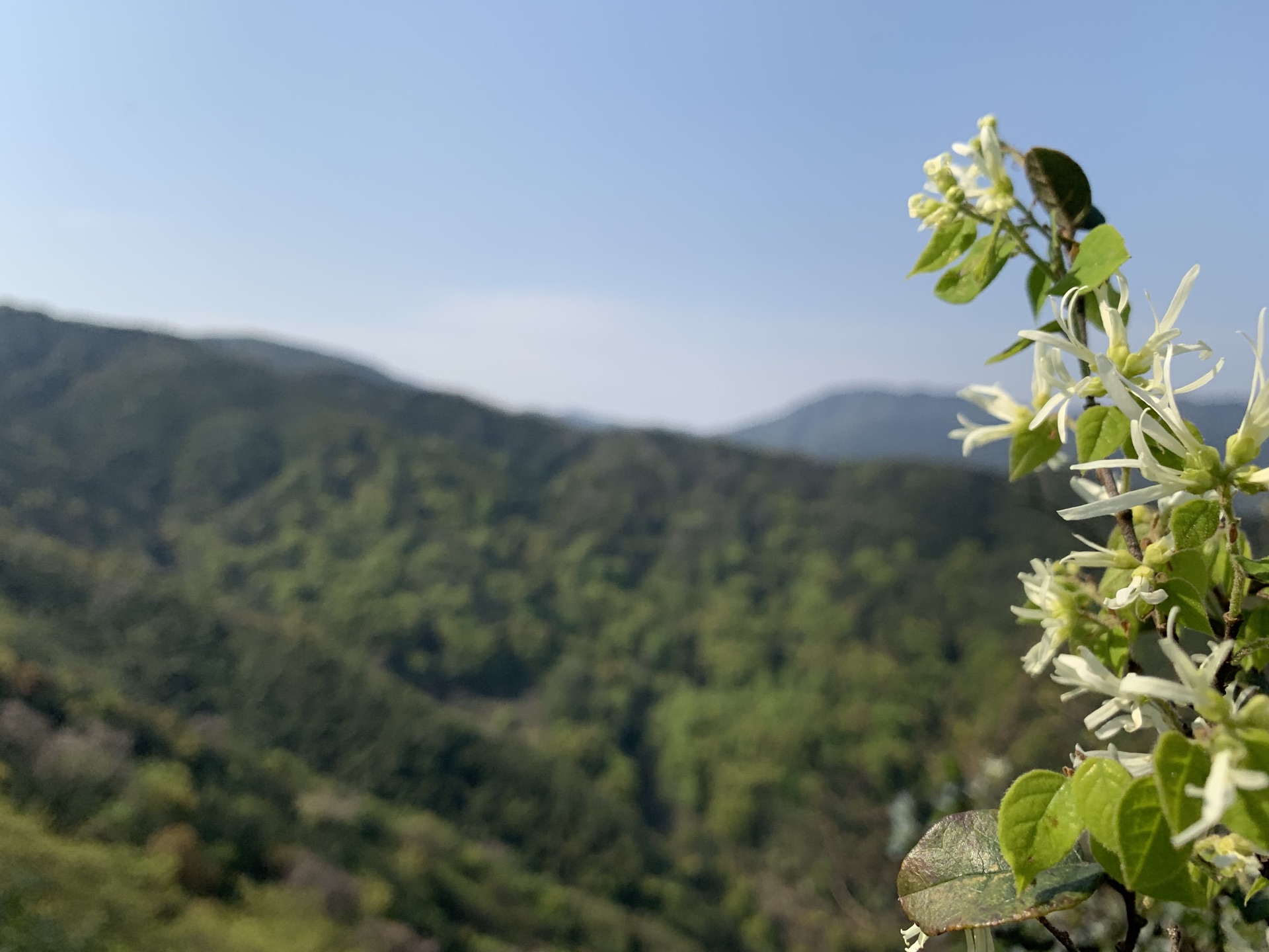 紫清山景点介绍图片