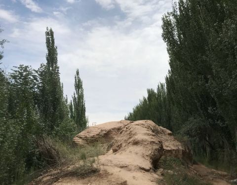 龟兹古城图片 100o14000000vn1m68DB2_C_480_375.jpg