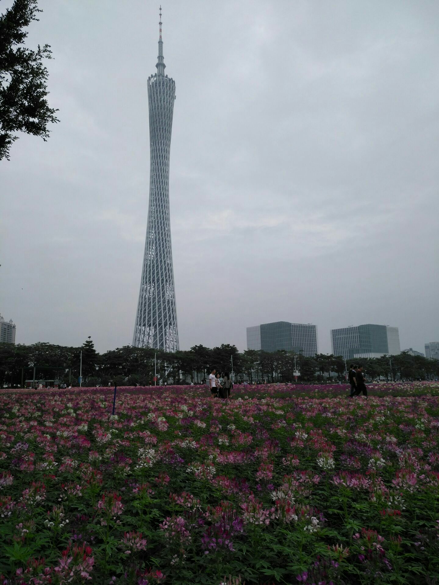 广州塔