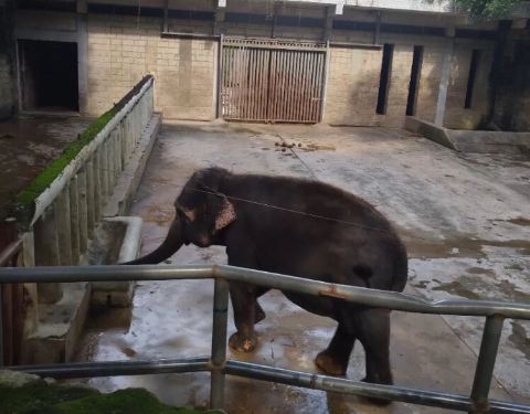 2022動物園門票,本溪動物園遊玩攻略,動物園遊覽攻略路線/地址/門票