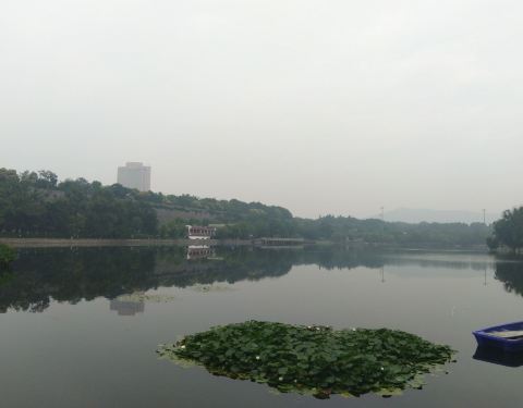 100o15000000yqcda52D8_C_480_375.jpg