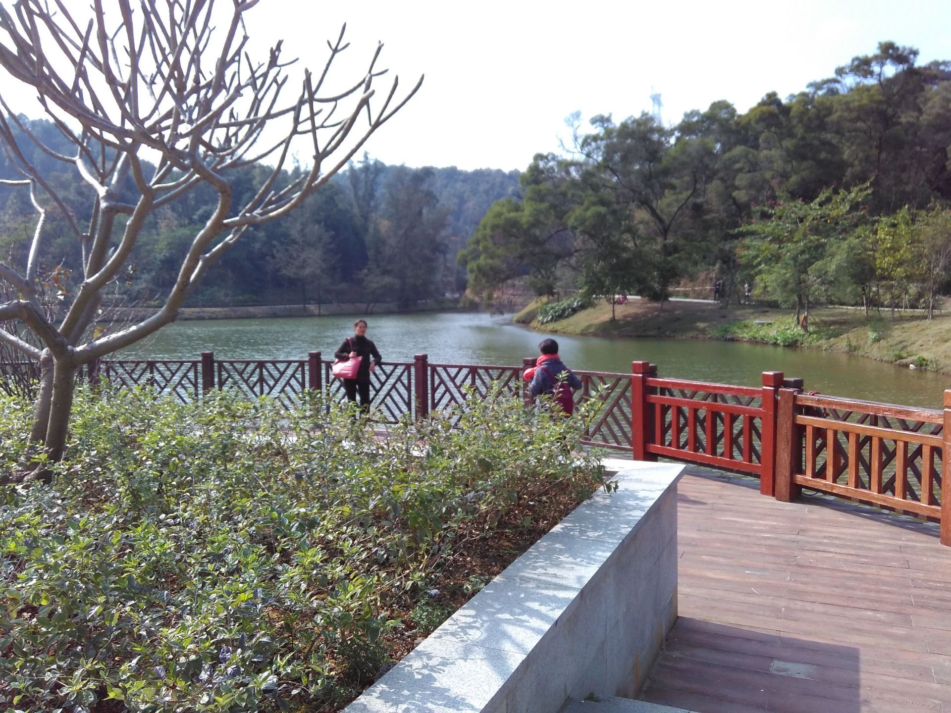 浔峰岗生态公园旅游景点攻略图