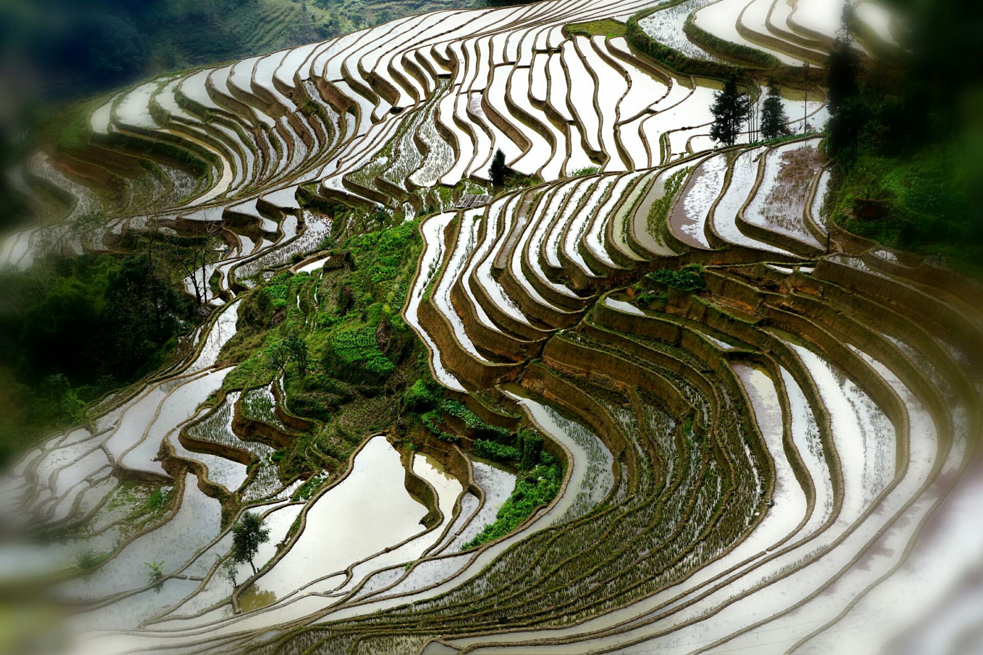 农业界的世界遗产，中国这三处梯田都是全球重要农业文化遗产_景区