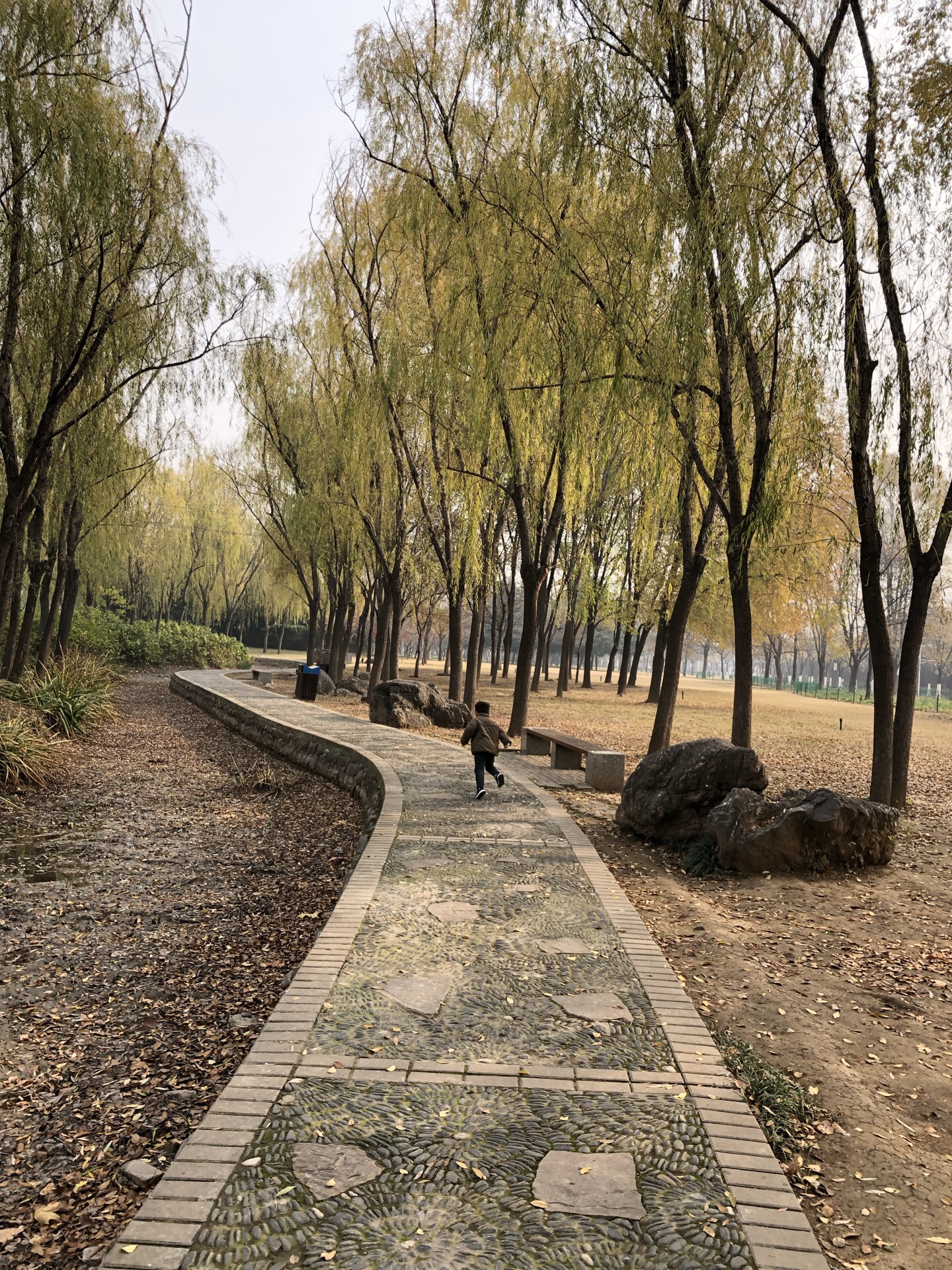 【携程攻略】洛阳隋唐城遗址植物园景点,因位于洛阳博物馆对面，又是免费公园，顺便就步入北门，公园占地面积…