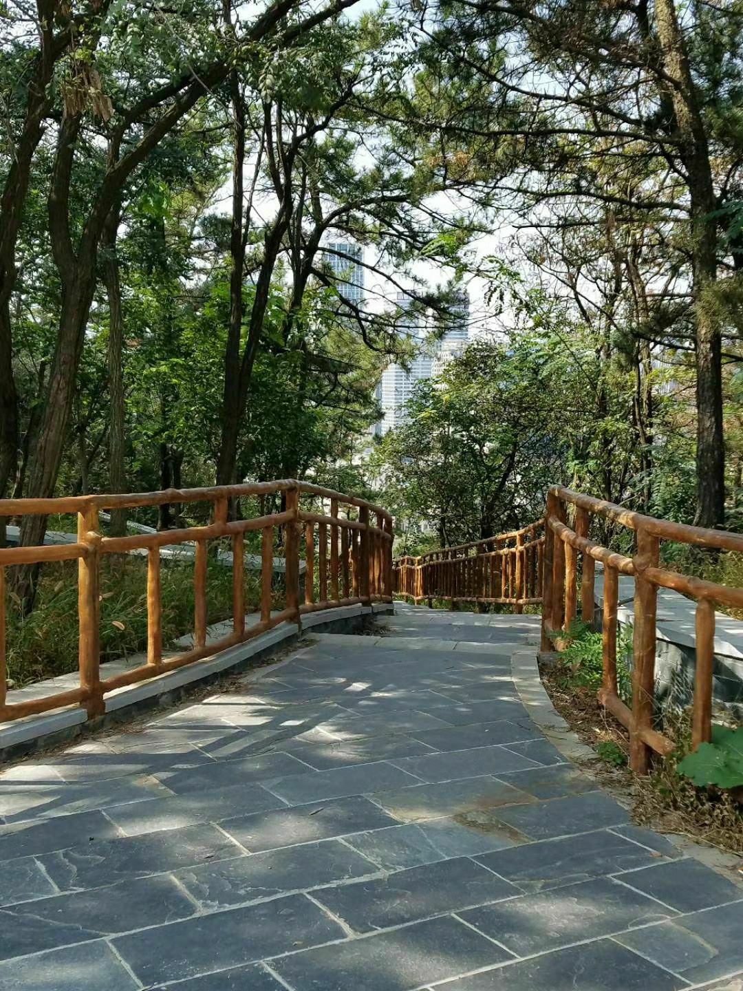莲花山观景台