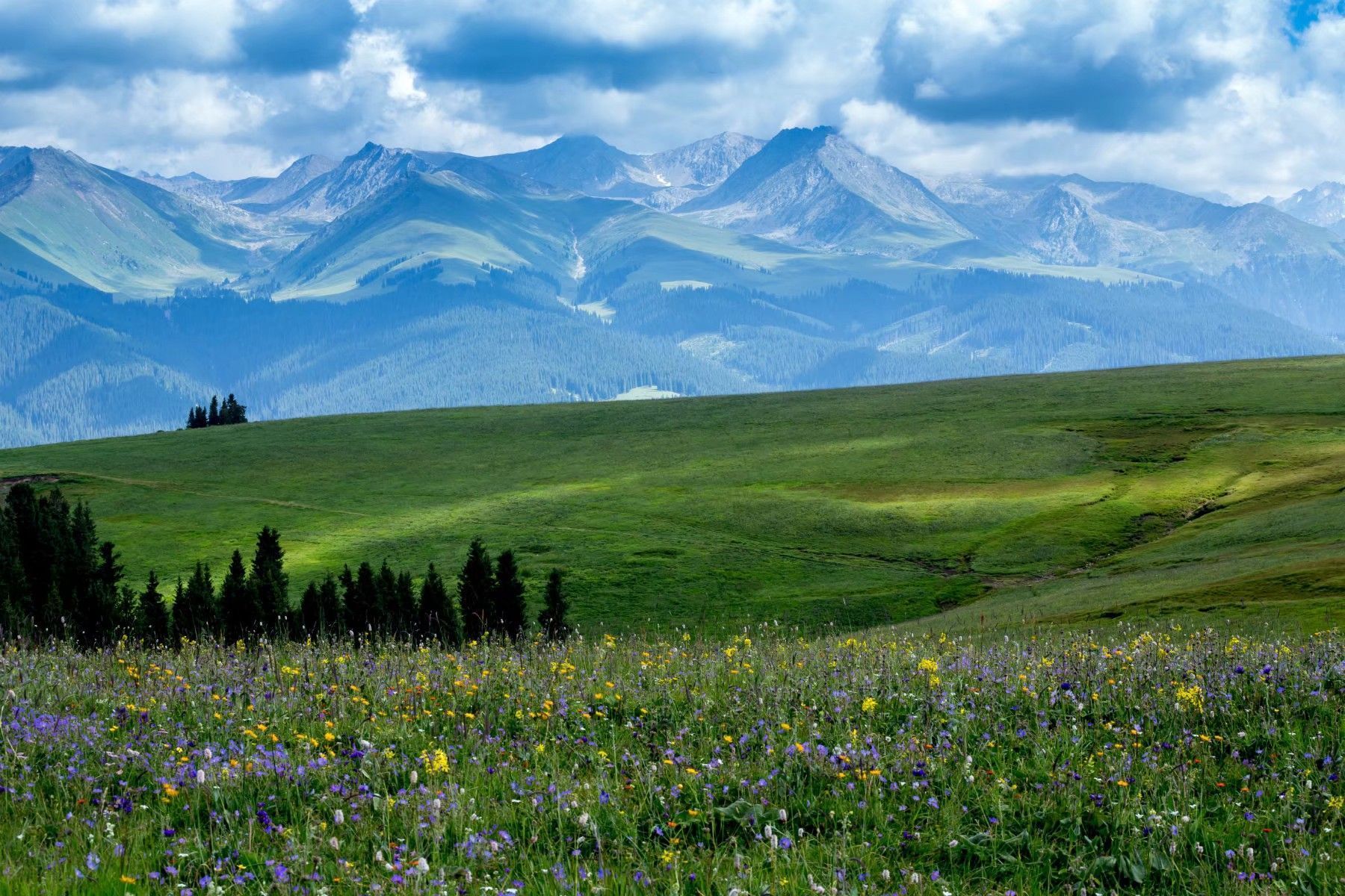 喀拉峻草原旅游景点攻略图