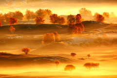 围场游记图片] 金山岭、塞罕坝、乌兰布统、雾灵山，追逐这个秋季中国最美的秋色