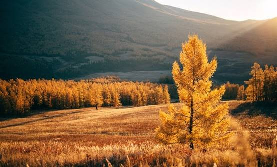 国庆去哪玩人少?新疆喀纳斯给你想要的