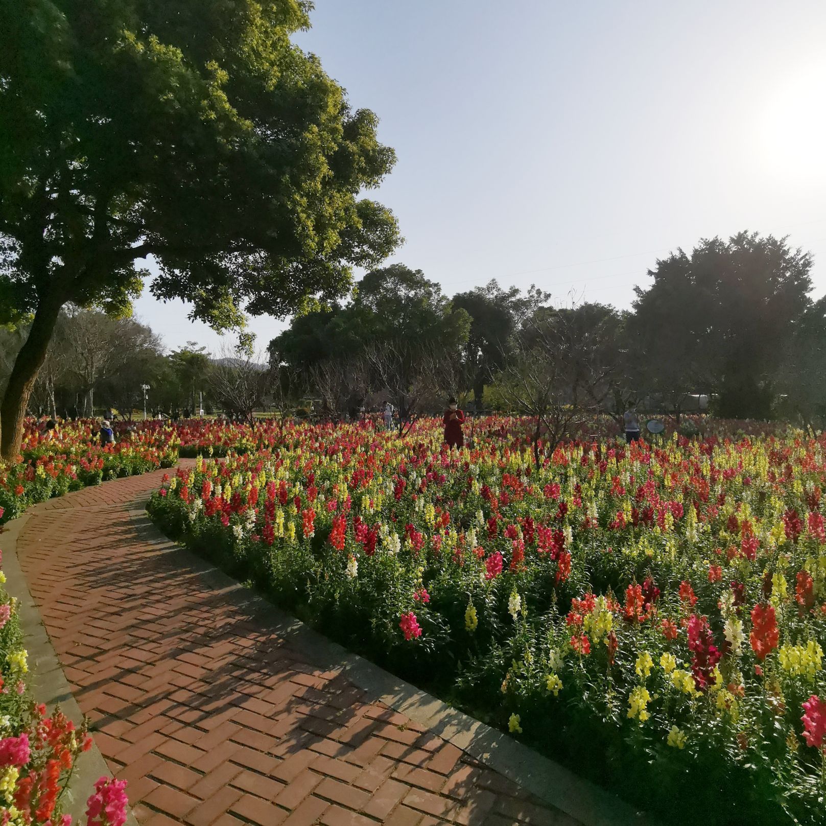 廈門忠侖公園攻略,廈門忠侖公園門票/遊玩攻略/地址/圖片/門票價格