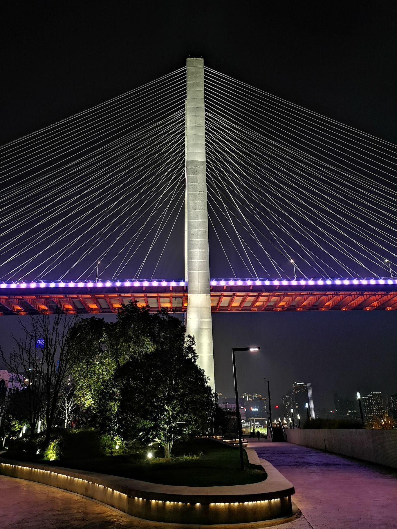 2020南浦大桥-旅游攻略-门票-地址-问答-游记点评，上海旅游旅游景点推荐-去哪儿攻略