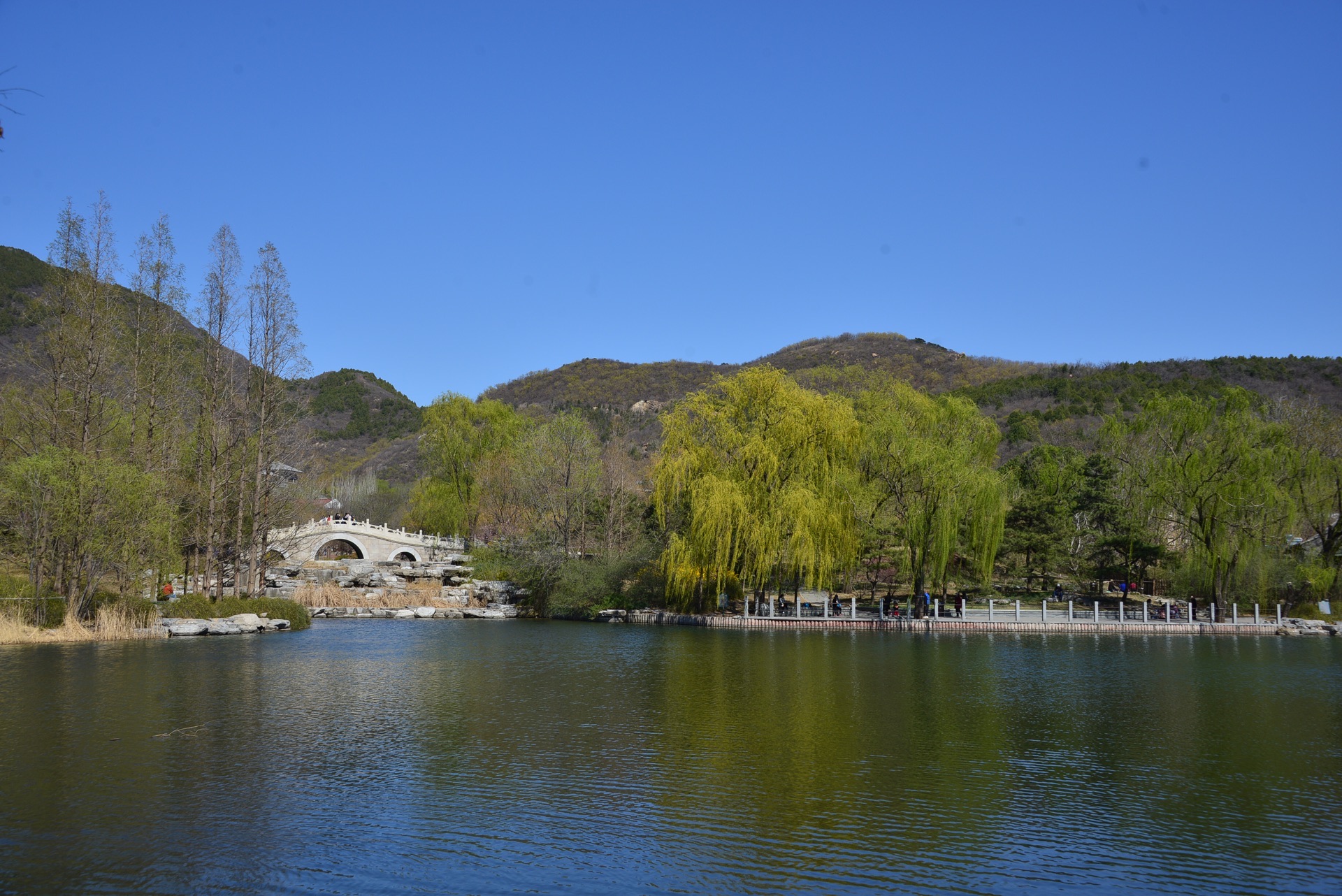 北京植物园景点介绍(北京植物园一日游攻略)