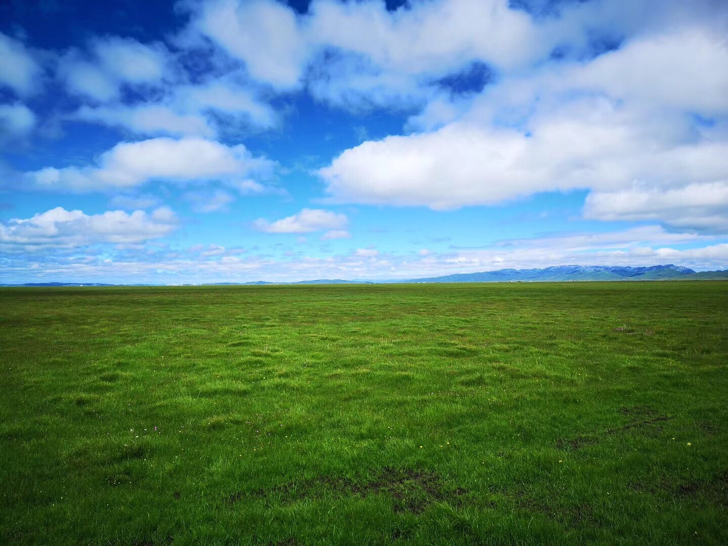 红原—若尔盖大草原