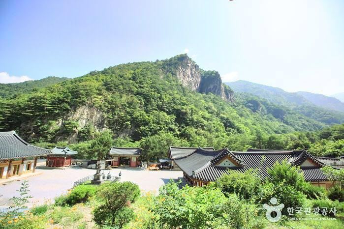 Samhwasa Temple travel guidebook –must visit attractions in Donghae-si – Samhwasa Temple nearby recommendation – Trip.com