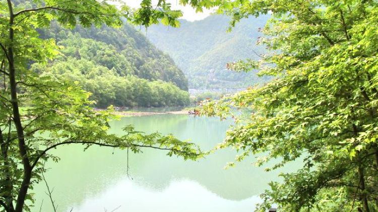 文成峃口樱花岛攻略-峃口樱花岛门票价格多少钱-团购票价预定优惠