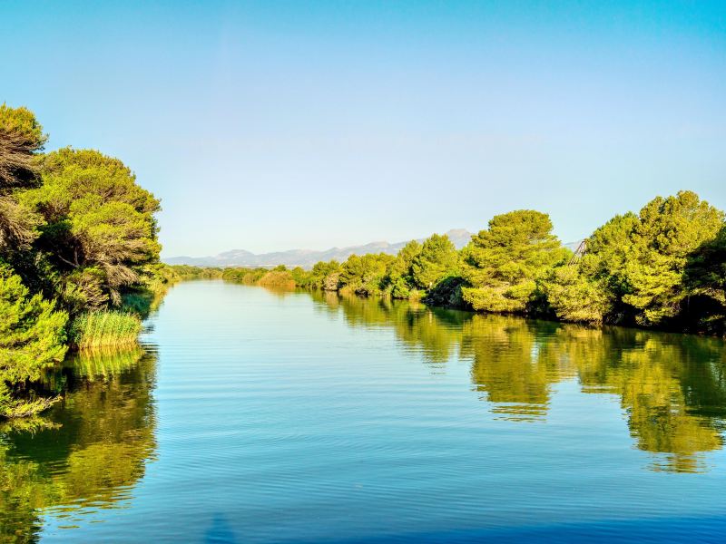 阿尔武费拉自然公园