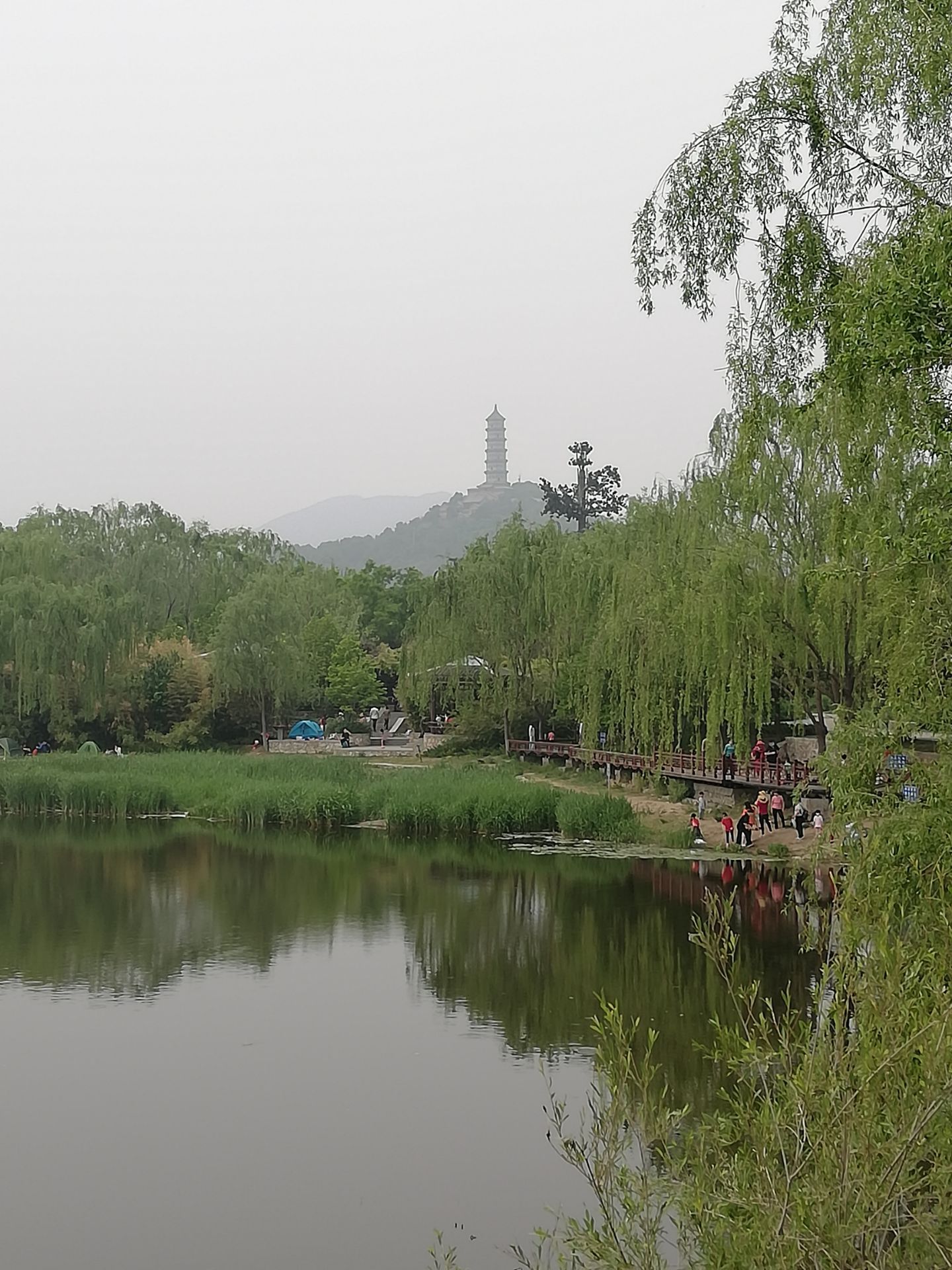2021北坞公园-旅游攻略-门票-地址-问答-游记点评，北京旅游旅游景点推荐-去哪儿攻略