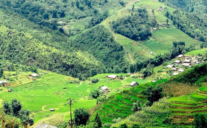 【越南旅游vlog】沙坝