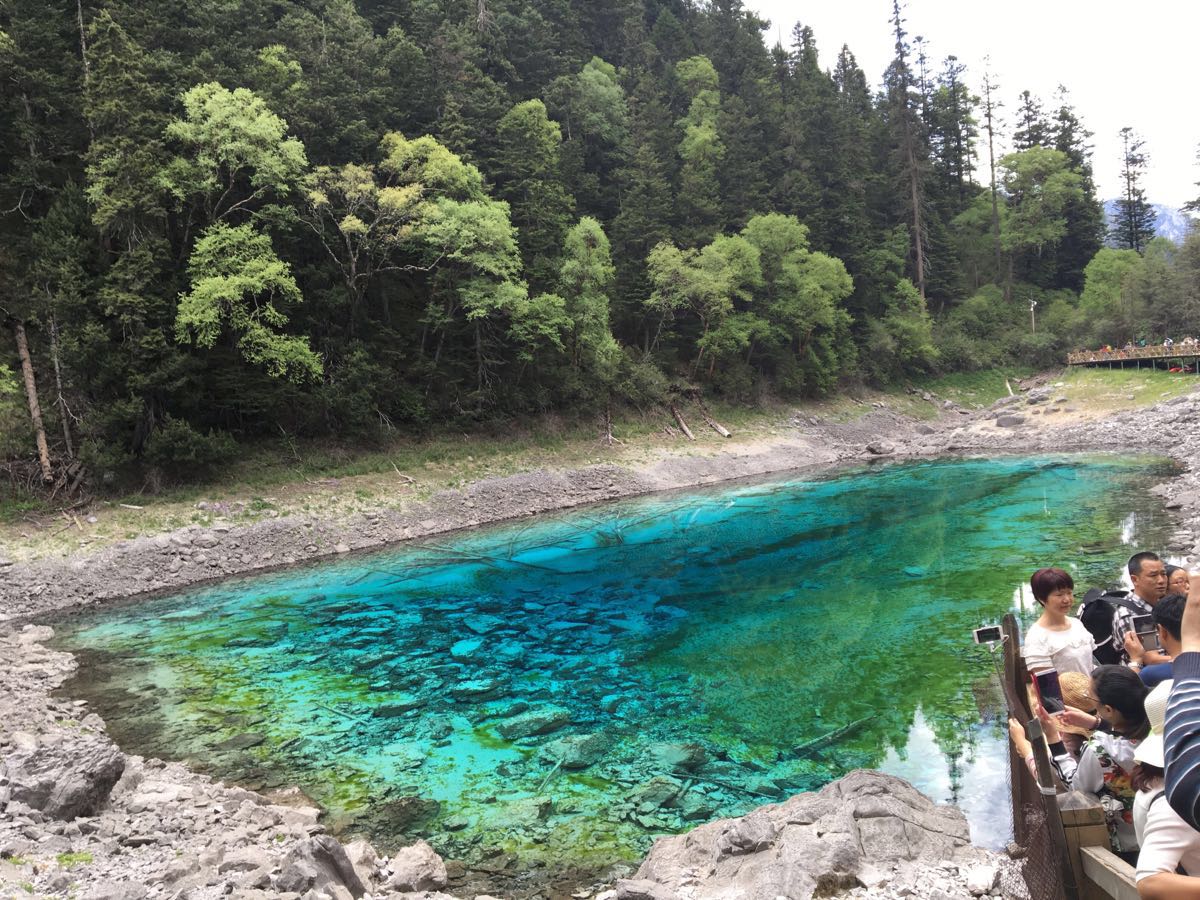 2019五彩池_旅遊攻略_門票_地址_遊記點評,九寨溝旅遊景點推薦 - 去