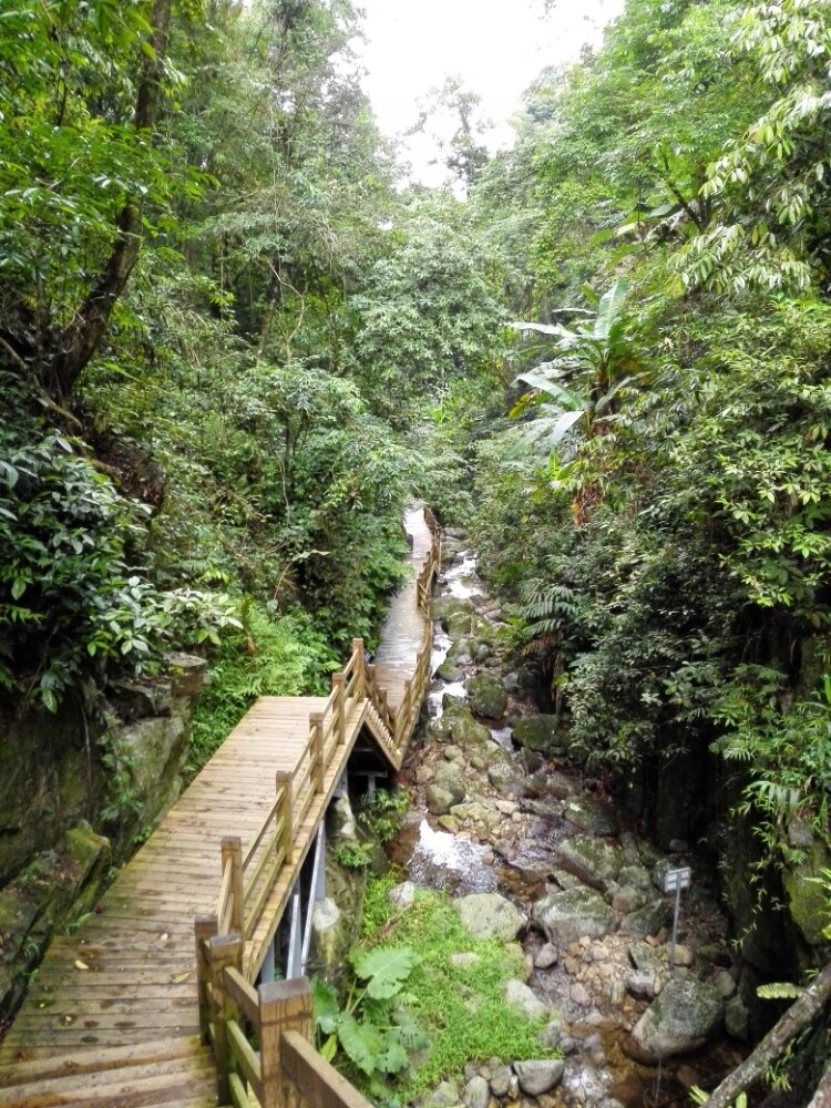 五指山热带雨林风景区旅游景点攻略图