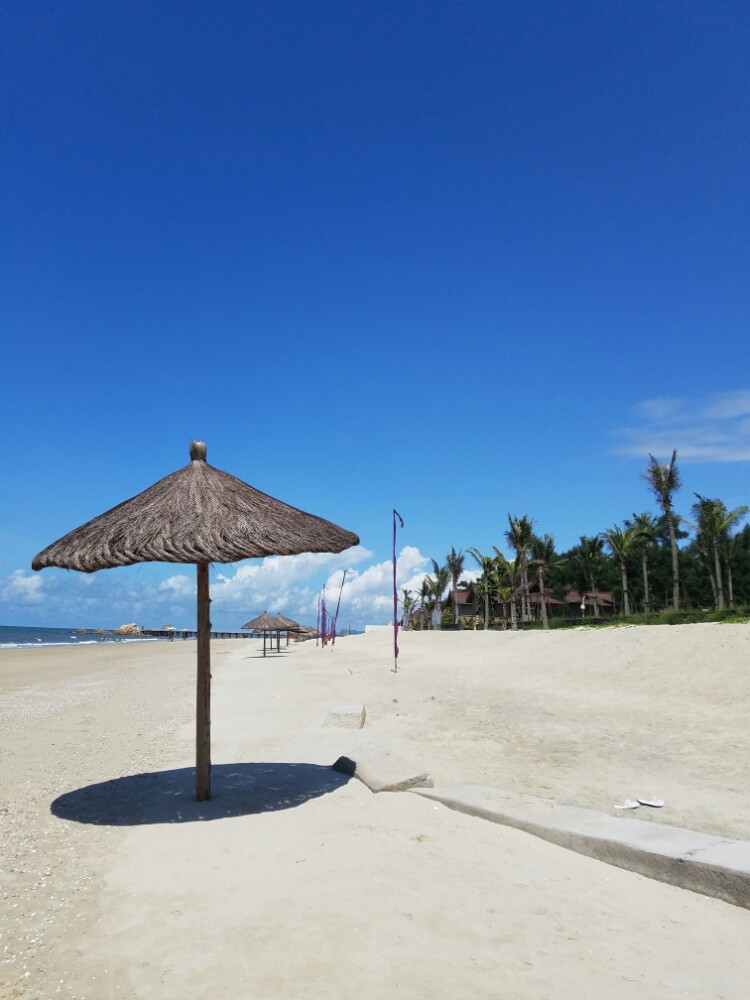 湛江浪漫海岸图片