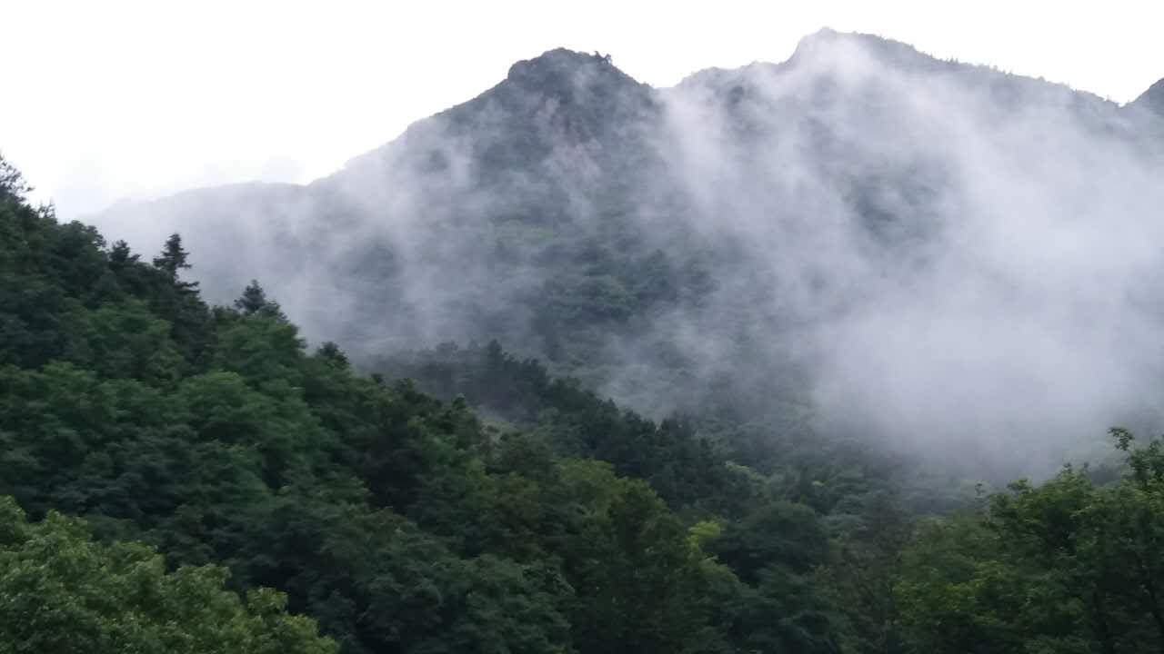 武汉云雾山的花应该败了,现在去云雾山有什么好玩的地方?-武汉旅游问