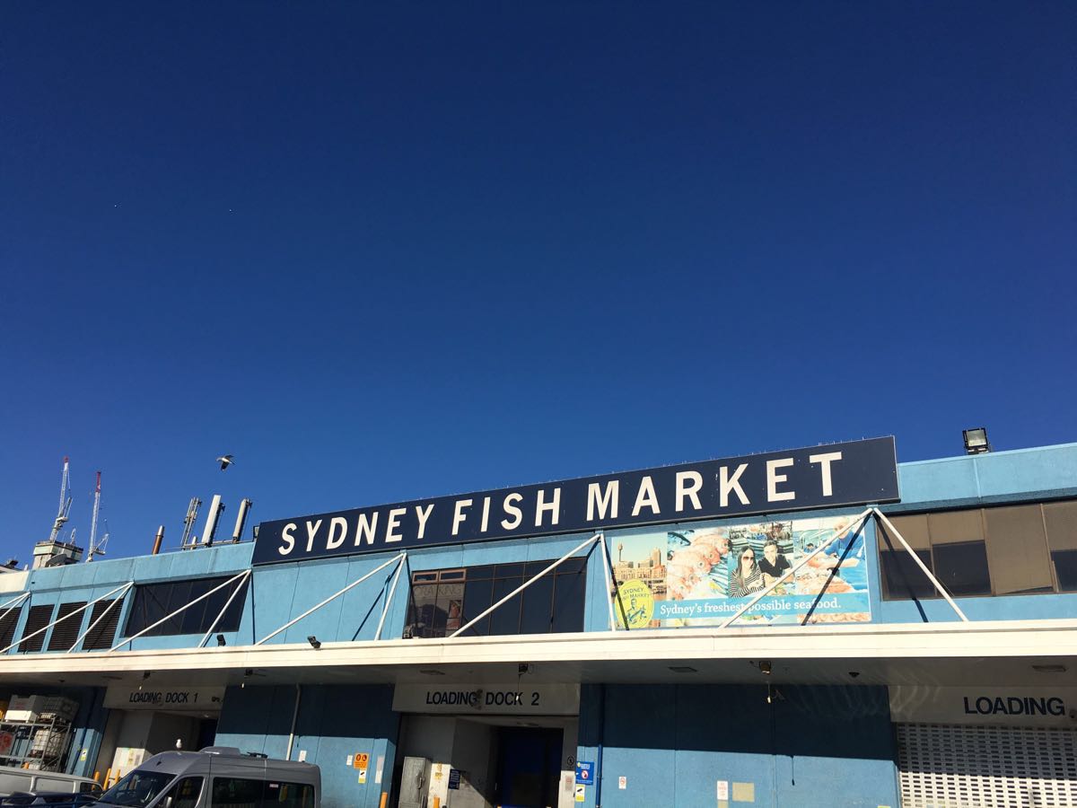 悉尼悉尼鱼市图片